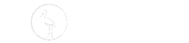 Jabiru